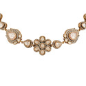 Noor Champagne Polki Necklace Set